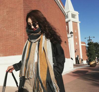 Autumn and Winter New Korean Style Fashionable Large and Small Striped Color Matching Scarf Cashmere Wool Tassel Warm Shawl