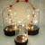 Silver Wire Lamp Copper Wire Lamp Crafts with Lamp Base Small Street Light with Lamp Battery Box