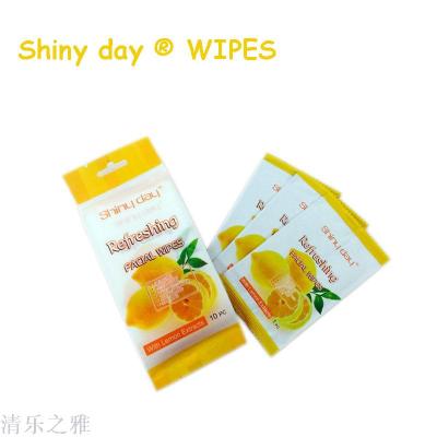 Independent single piece Beauty Remover wipes