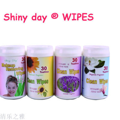 Shiny Day 30 Ladies Cleaning Wipes