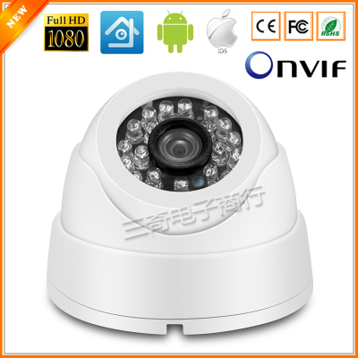 IP Camera ONVIF 2.0MP 24 IR LED Indoor Dome Camera 