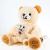 Led Colorful Luminous Mother-and-Child Bear Doll Plush Toy Doll Holiday Gift Teddy Bear Foreign Trade Cross-Border Hot