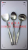 Stainless steel cutlery and kitchenware hotel supplies - shuangli kitchenware (high grade)
