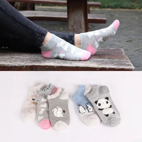 summer women‘s cartoon ankle socks low cut socks socks wholesale factory direct sales