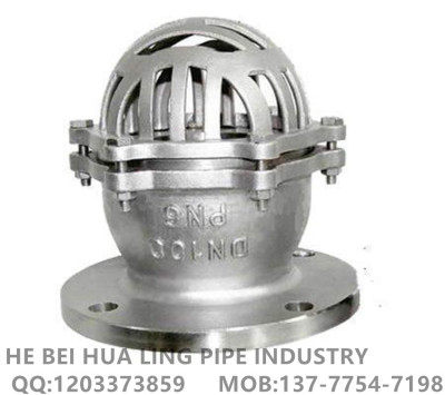 Professional direct selling pump bottom valve filter pump bottom valve check pump bottom valve