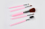Ichilian makeup brush set blush powder brush set brush set of 5 sets of cosmetic tools manufacturers wholesale.