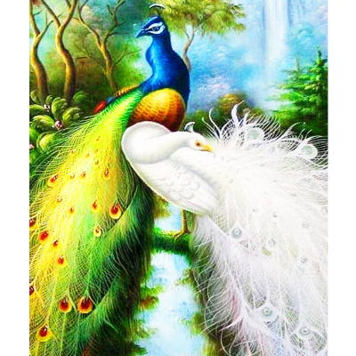 Jia jun arts and crafts diamond painting a diamond painting of 2018 new peacock