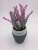 Fashionable new imitation green plant artificial flower bonsai plastic lavender plant potted tabletop household