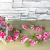 Artificial flower wrapped flower - winding, air - conditioning duct, plastic silk flower pipe wall hanging background.