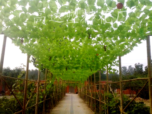 Rattan Wholesale 3 M Long Simulation Flat Row Grape Leaf rattan Single Grape Leaf Air Conditioning Pipe Flower Vine