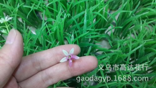 plastic lawn small stars small purple flower water plants plastic water plants simulation money lawn eucalyptus lawn