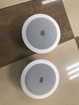 Product description: smart home bluetooth speaker p-18bt