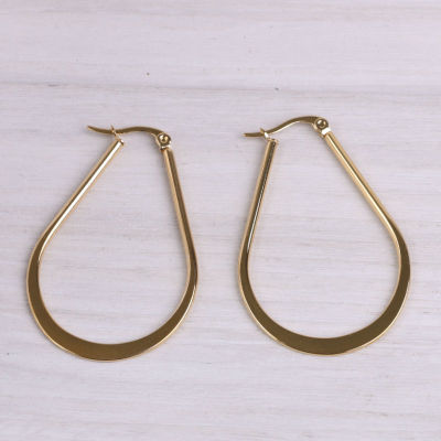 Fashion Gold-Plated Stainless Steel Earrings Earrings Female Japanese and Korean Style Temperament Wild European and American Personalized Jewelry