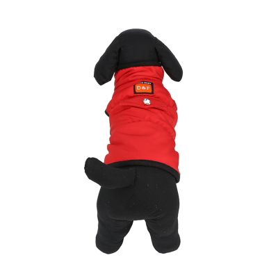 The Big red dog jacket