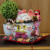 Le meow 8 \\\"everything goes well lucky cat cherry cat piggy bank set a gift 86881