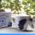 Cartoon cup unicorn color changing ceramic cup 3D horse head cup personality coffee cup
