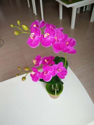 The simulated flower simulates the potted landscape of junzi orchid