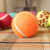 A pet tennis ball with three colors, a golden retriever, a teddy bear, and an outdoor toy.