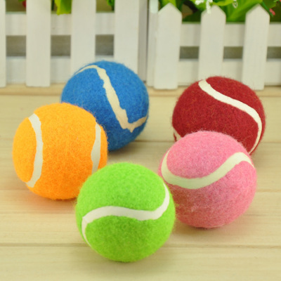 A pet tennis ball with three colors, a golden retriever, a teddy bear, and an outdoor toy.
