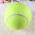 Manufacturer direct-selling inflatable signature large tennis ball 9 inches 22.9cm pet advertising collection LOGO 