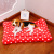 The new products are hot printed and printed plush pet litter cushion dog cat sofa cushions four seasons pet supplies.