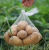 Wholesale white plastic net bag Ocean ball crab net Rain flower Stone mesh bag walnut small net