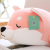 Latest hot sale fashionable super soft and comfortable popular stuffed plush pillow Akita Dog 
