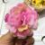 Hibiscus flower head imitation flower silk flower silk cloth artificial flower artificial flower.