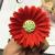 Simulation of the small sun chrysanthemum flower artificial silk flower head accessories accessories.