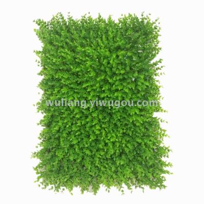 Special afforestation plant products wholesale.