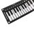 49 keys with trumpets for portable electronic piano folding piano.
