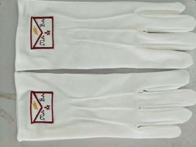 Cotton Printed Embroidered Gloves
