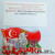 Singapore no rules star month flag resin printed Fridge Magnet