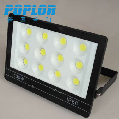 100W/ LED project light lamp / floodlight / projection lamp / waterproof / outdoor lighting / engineering lamp