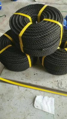 Nylon Rope, PE Rope Pp Rope