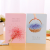 A5 line soft copy of Korean version of small and fresh notebook students notepad book wholesale customization.