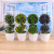 Simulated plant potted landscape potted office desktop decoration craft gift wholesale 9 yuan store supply.