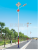 New Personalized Simple 3001 Series Integrated Solar Street Lamp
