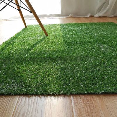 White ground lawn door mat simulation lawn TPR floor mat floor mat 60/90.
