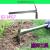 Stainless steel garden tool hoe with spade.