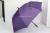 80CM full fiber shelf, umbrella, umbrella, Golf umbrella, Reverse umbrella and Advertising umbrella