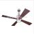 Modern Ceiling Fan Unique Fans with Lights Remote Control Light Blade Smart Industrial Kitchen Led Cool Cheap Room