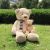 60 cm grace scarf big bear, very baby plush doll, doll