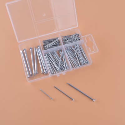 125 galvanized iron nails of different lengths