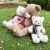 Very baby plush doll doll doll doll doll doll manufacturer direct selling leaf scarf bear qixi valentine's day gifts