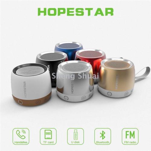 hopestar-h17 wireless bluetooth audio lock and load spray fm radio speaker with handle