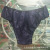 Disposable Paper Diaper Women's Non-Woven Briefs Sweat Sauna Shorts Outdoor Travel Business Trip Hotel