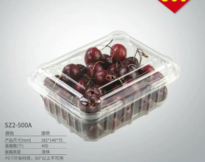 Pet single-use fruit preservation packaging box 500g