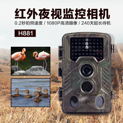 Popular Amazon Hunting Camera Infrared Surveillance Camera Outdoor HD Camera