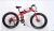 E-bike electric mountain bicycle snow fat tires battery motor